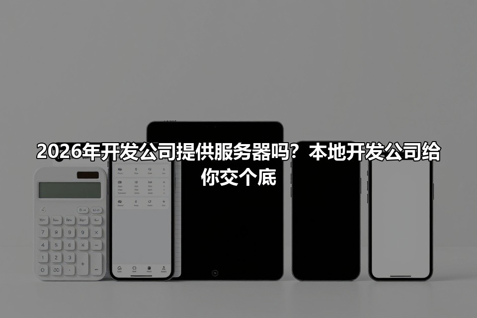 2026年开发公司提供服务器吗?本地开发公司给你交个底